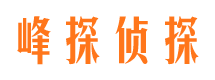 原阳侦探